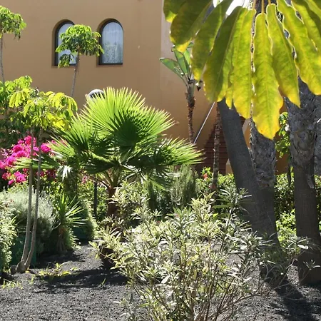 아파트 Oasis Papagayo One Bedroom